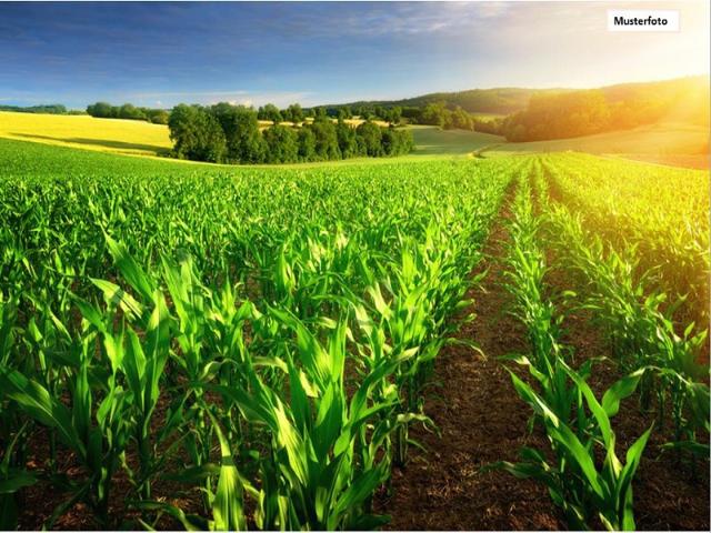 Landwirtschaft kaufen in Brandenburg