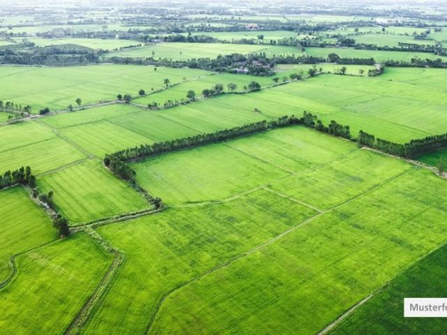 Erdgeschosswohnung kaufen in Nörtershausen, Rheinland-Pfalz
