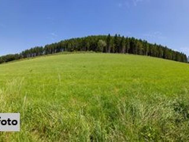 Grundstück kaufen in St. Lorenzen am Wechsel, Steiermark