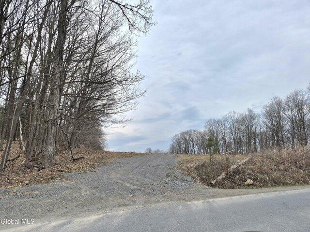 Land for sale in New York