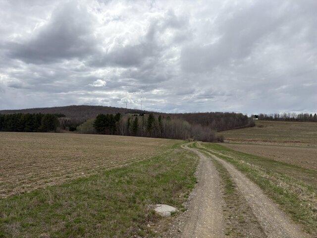 Land for sale in Presque Isle, Maine
