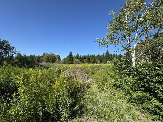 Land for sale in Fort Fairfield, Maine