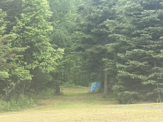 Land for sale in Fort Kent, Maine