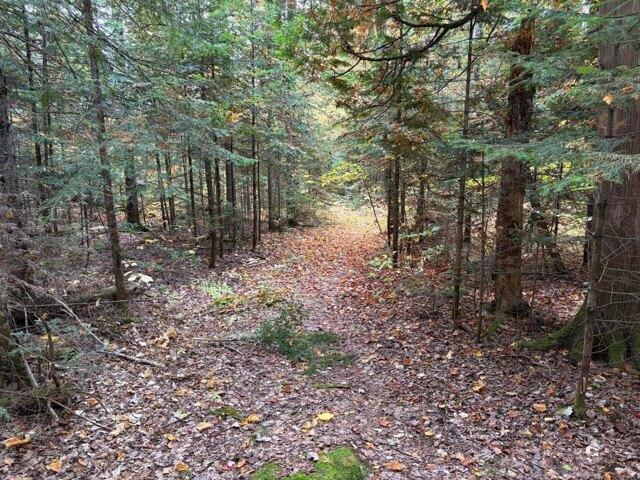 Land for sale in Fort Kent Mills, Fort Kent