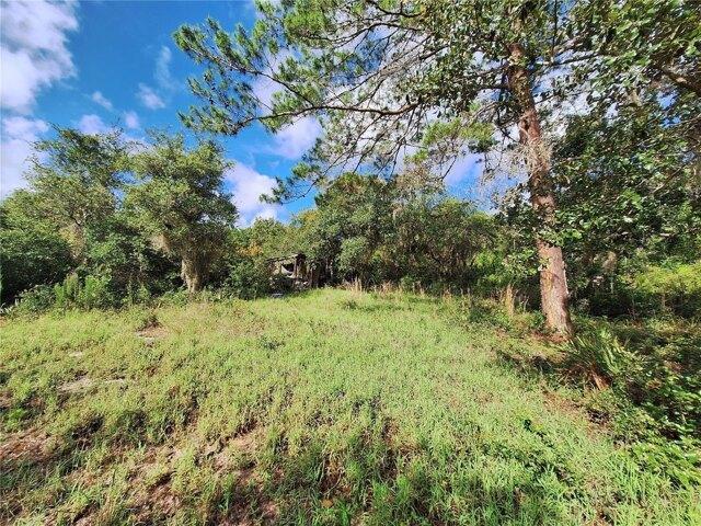 Land for sale in Florida