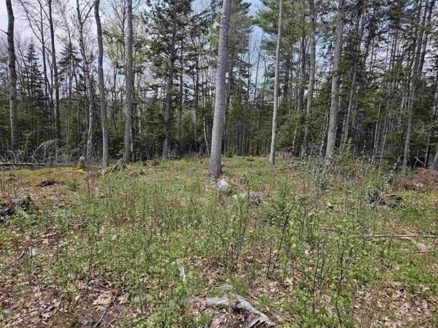 Land for sale in New Hampshire