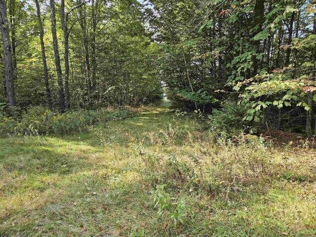Land for sale in New Hampshire
