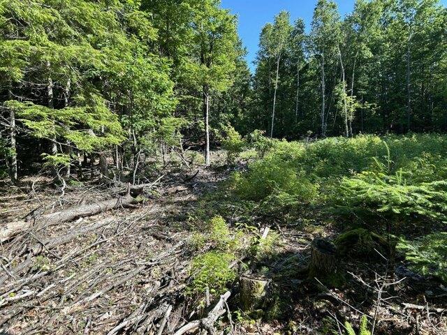 Land for sale in Waldo, Maine