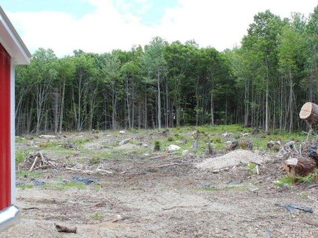 Land for sale in Waldo, Maine