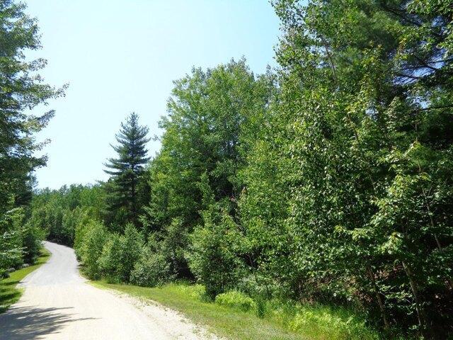 Land for sale in Franklin, Maine