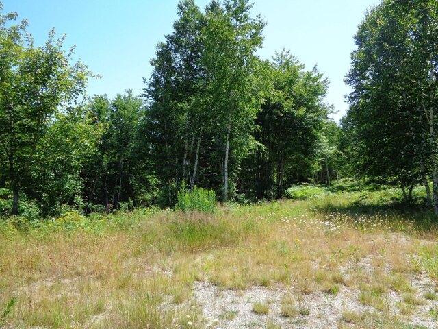Land for sale in Franklin, Maine
