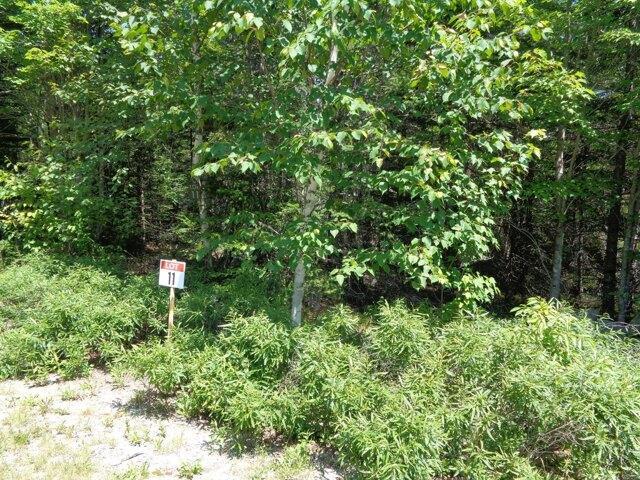 Land for sale in Franklin, Maine