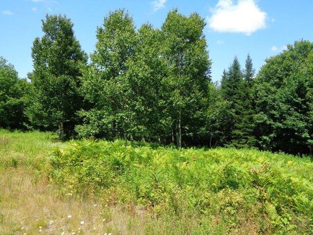 Land for sale in Franklin, Maine