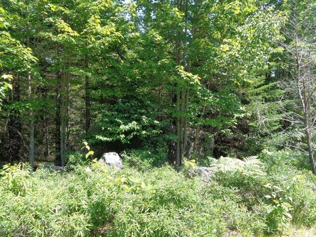 Land for sale in Franklin, Maine