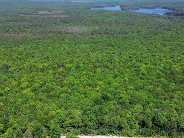 Land for sale in Maine