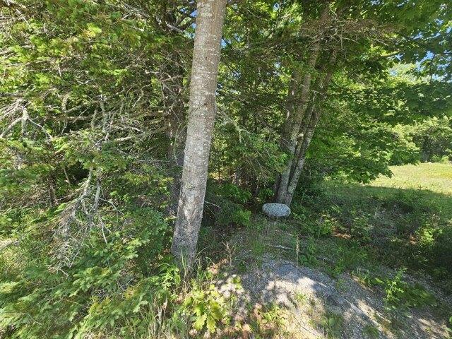 Land for sale in Maine