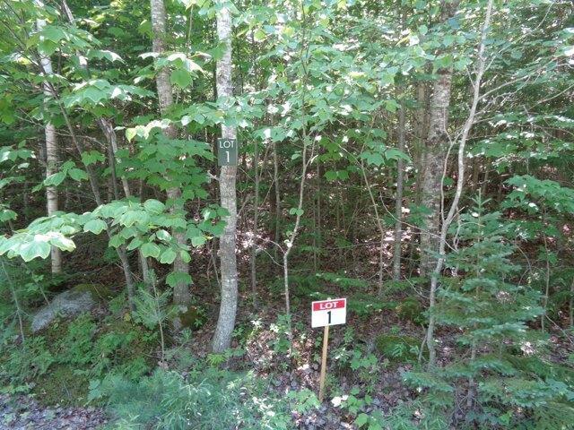 Land for sale in Franklin, Maine