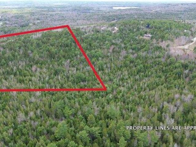 Land for sale in Franklin, Maine