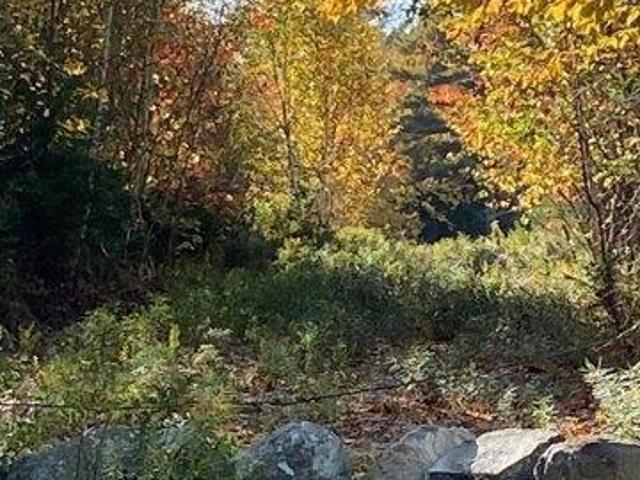 Land for sale in Franklin, Maine