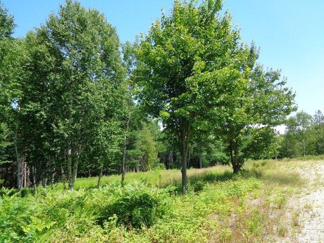 Land for sale in Franklin, Maine