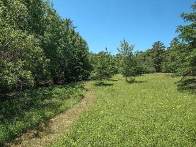 Land for sale in Franklin, Maine