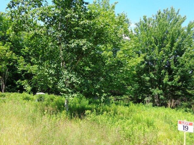 Land for sale in Franklin, Maine
