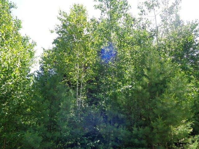 Land for sale in Franklin, Maine