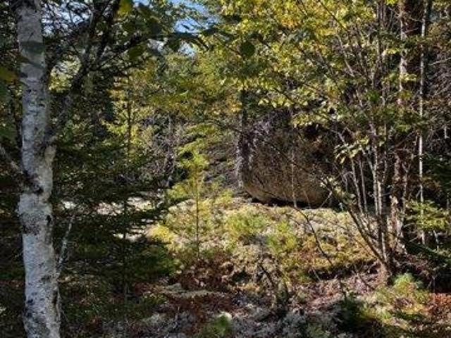 Land for sale in Franklin, Hancock County