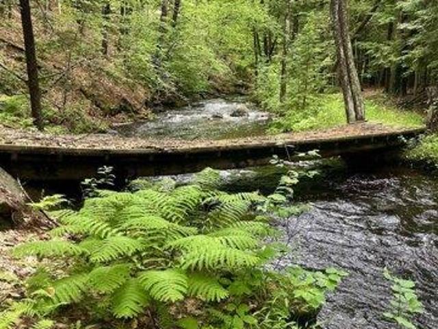 Land for sale in New Hampshire