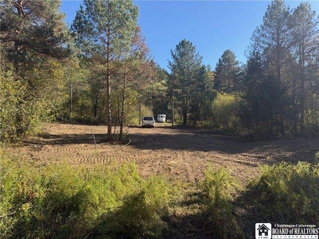 Land for sale in Franklinville, New York