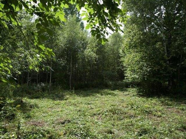 Land for sale in Smithton, Freedom