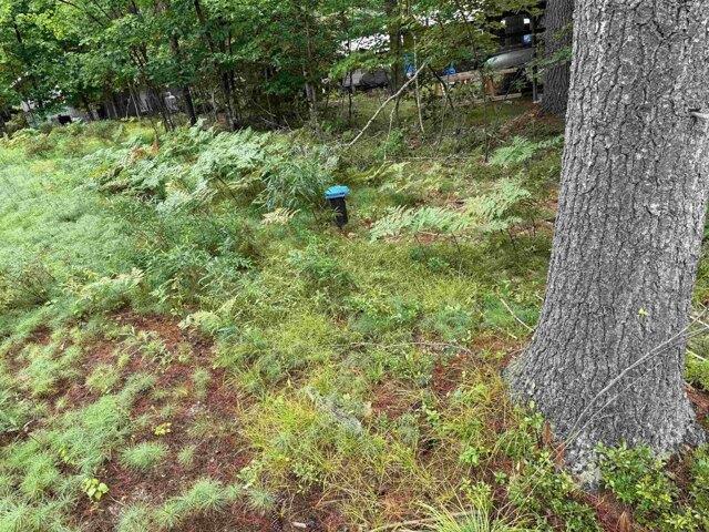 Land for sale in New Hampshire