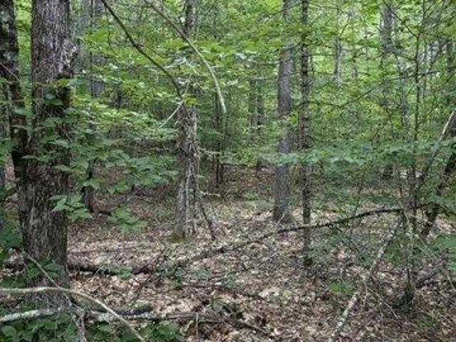 Land for sale in Freedom, Carroll County