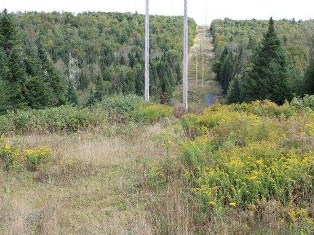 Land for sale in Frenchville, Maine