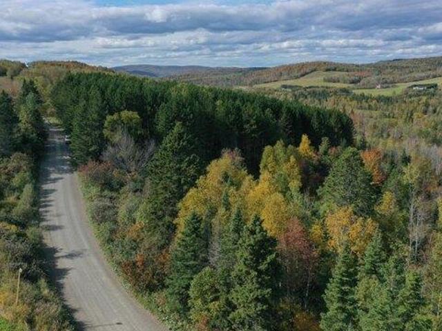 Land for sale in Frenchville, Maine