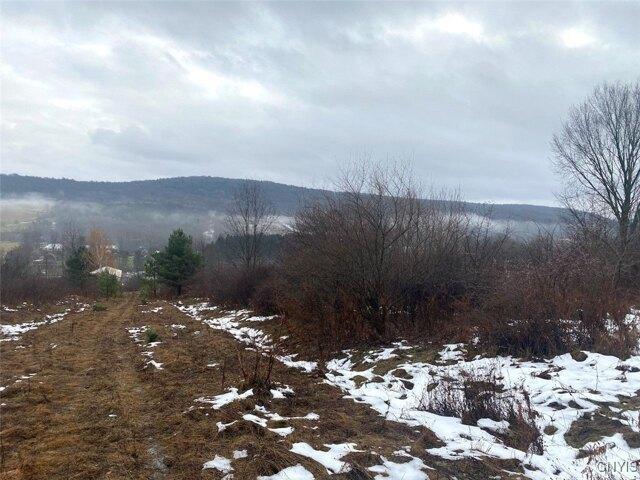 Land for sale in Friendship, New York