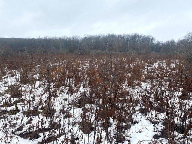 Land for sale in Friendship, New York
