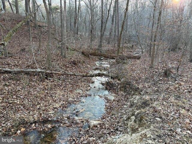 Land for sale in Front Royal, Virginia