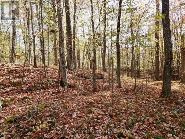 Land for sale in Central Frontenac, Ontario