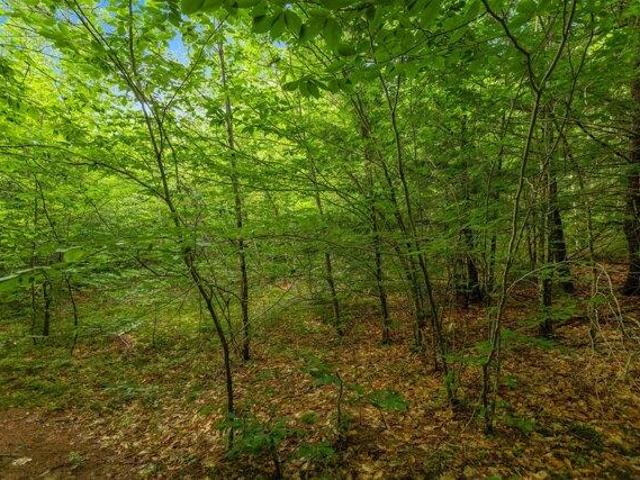 Land for sale in Fryeburg, Maine