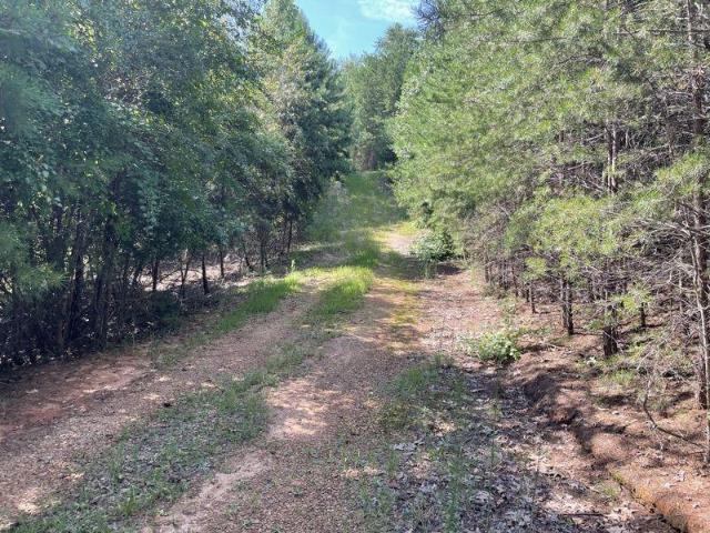 Land for sale in Gainesville, Georgia