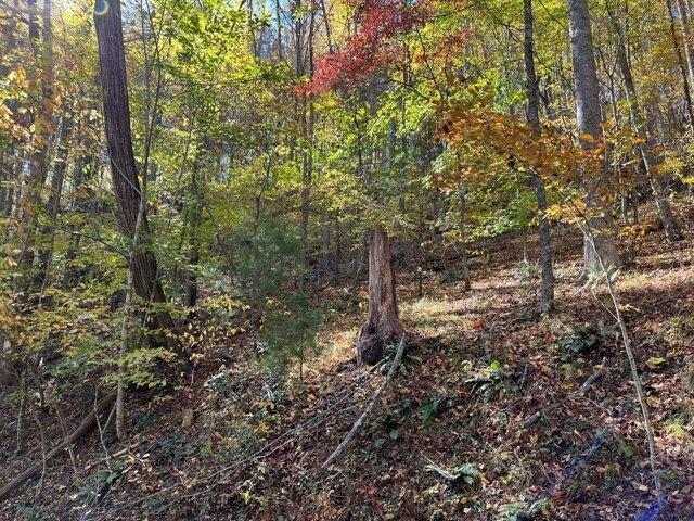 Land for sale in Virginia