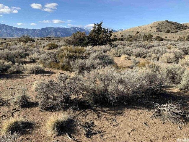 Land for sale in Gardnerville
