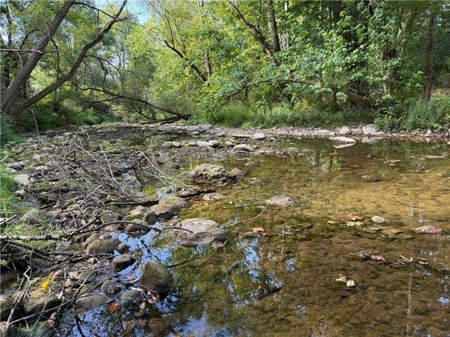 Land for sale in Cayuga, New York