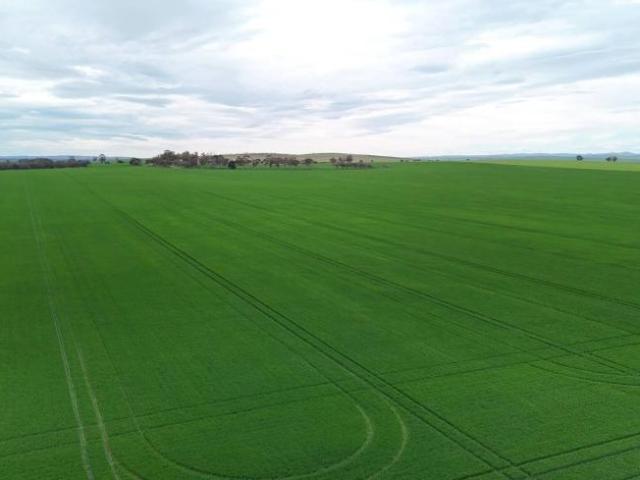 Land for sale in Gladstone, South Australia