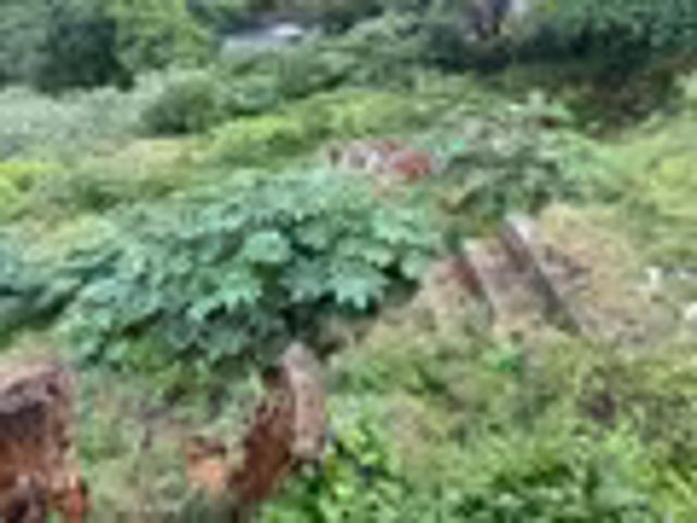 Land for sale in Glen Hills, Durban North