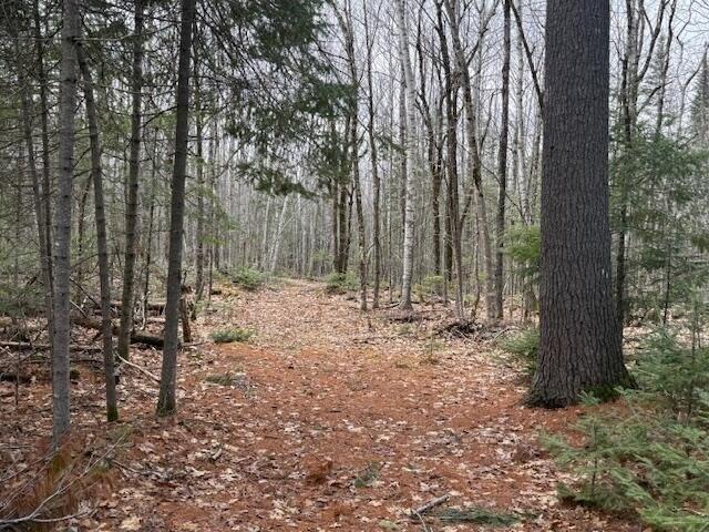 Land for sale in Bangor, Maine