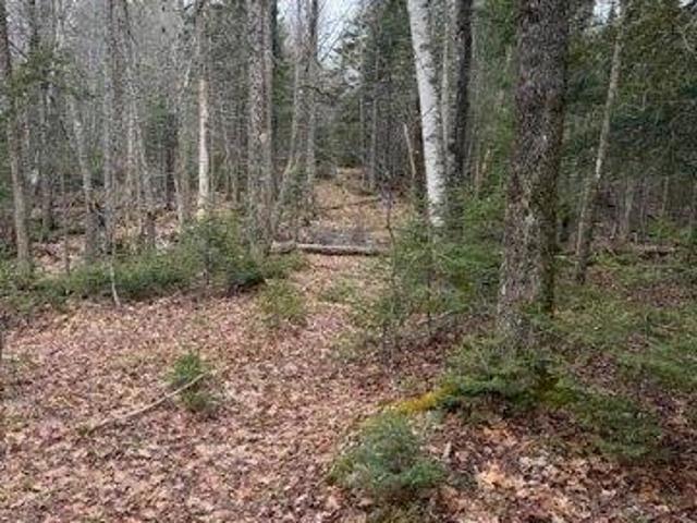Land for sale in Bangor, Maine