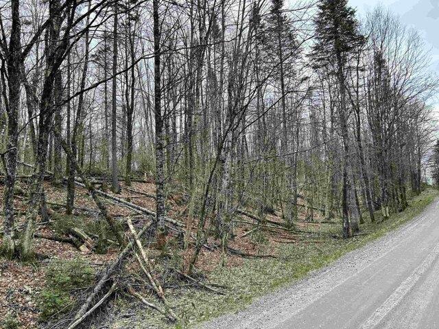 Land for sale in Glover, Vermont