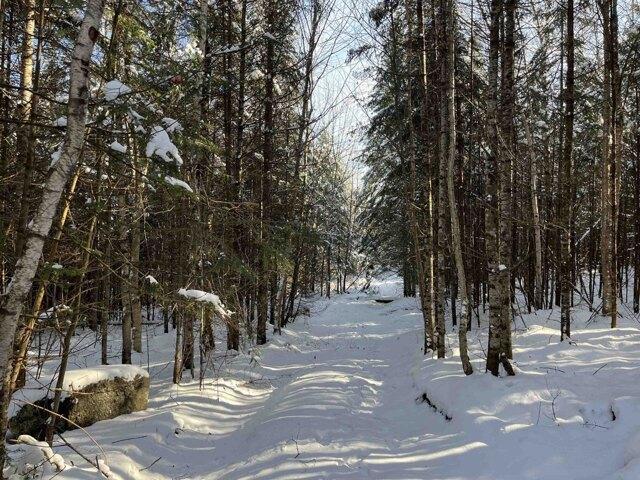 Land for sale in Glover, Vermont